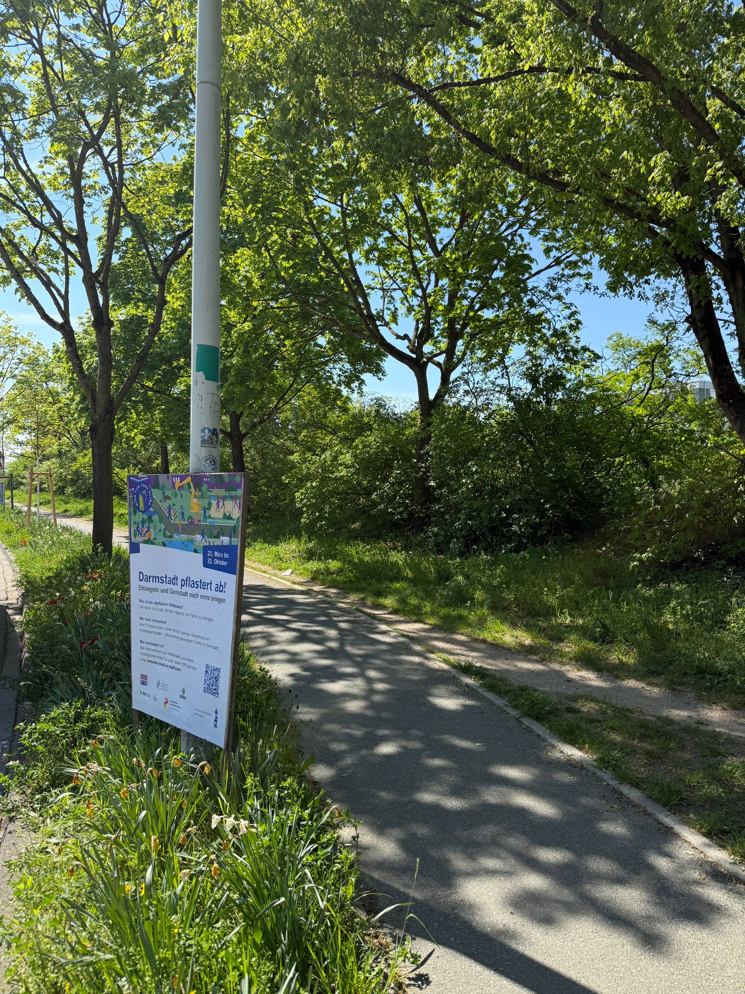Stadt Darmstadt - Umwelt - DIN A0 Plakat 3