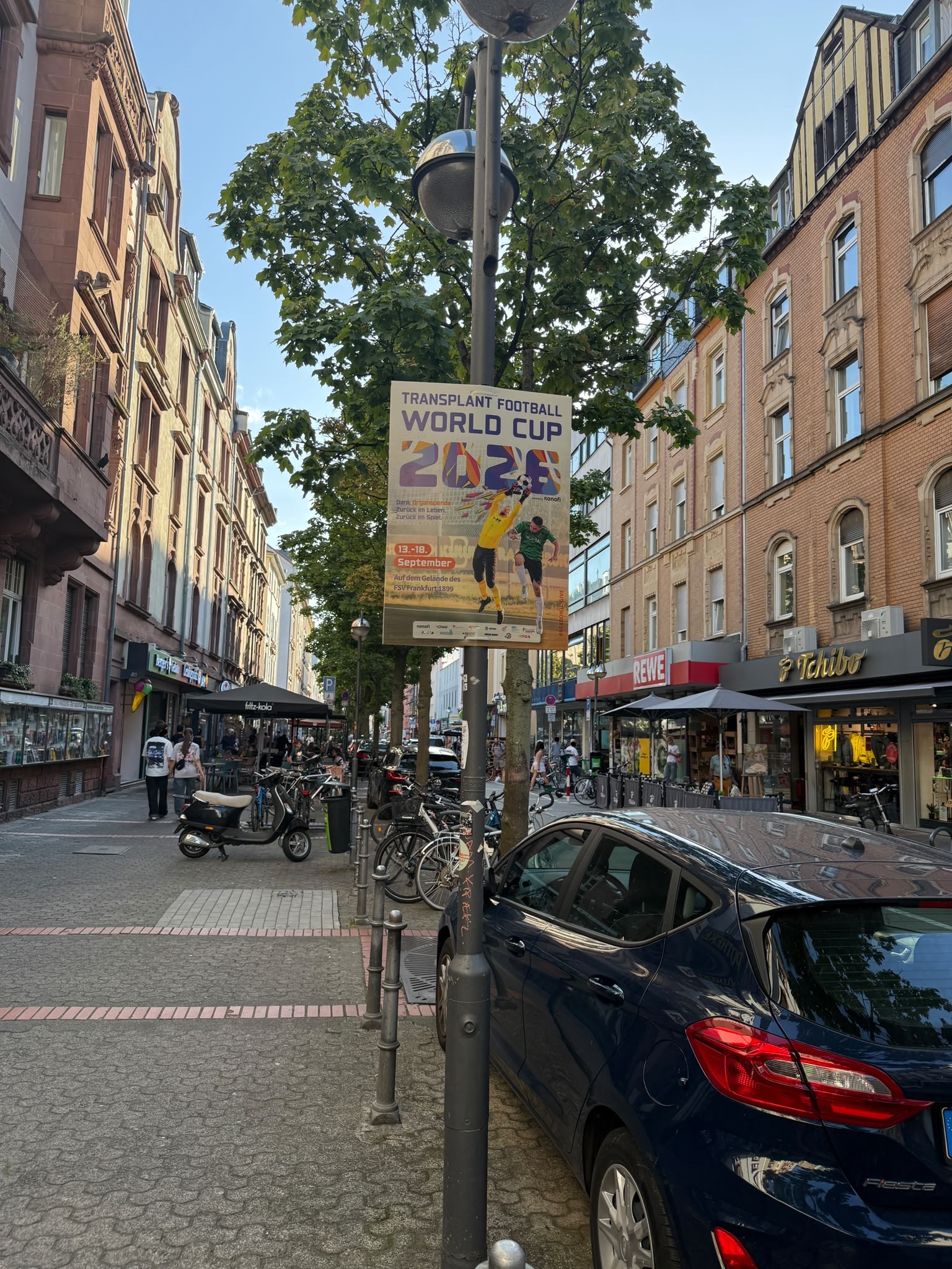 Transplant Football World Cup - DIN A1 Plakatwerbung - Easyplate 3